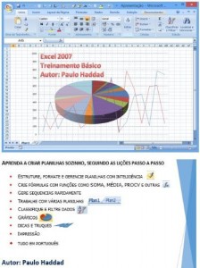 Baixar Treinamento de Excel 2007 Básico pdf, epub, eBook