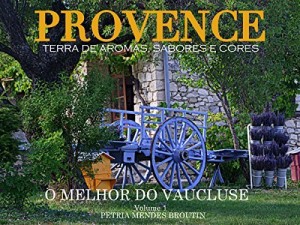 Baixar PROVENCE: TERRA DE AROMAS, SABORES E CORES: O MELHOR DO VAUCLUSE pdf, epub, eBook