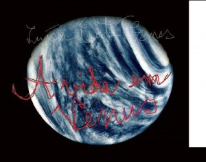 Baixar A VIDA EM V&Eacute;NUS pdf, epub, eBook