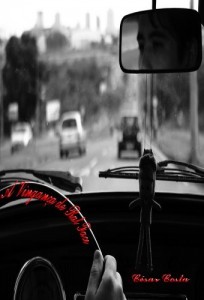 Baixar A Vingança de Rat Face pdf, epub, eBook