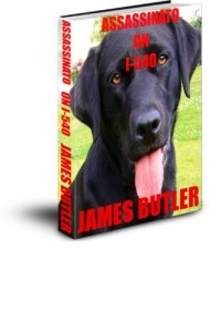 Baixar ASSASSINATO ON I-540 pdf, epub, eBook