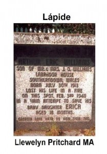 Baixar L&aacute;pide (Port Hope Simpson Mist&eacute;rios Livro 5) pdf, epub, eBook