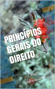 Baixar Princ&iacute;pios Gerais do Direito (Direito Internacional Livro 1) pdf, epub, eBook