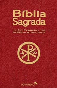 Baixar B&iacute;blia Sagrada pdf, epub, eBook