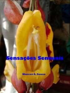 Baixar Sensações sensuais pdf, epub, eBook