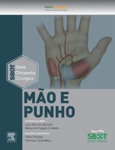 Baixar M&atilde;o e Punho 1&ordf; Edi&ccedil;&atilde;o – S&eacute;rie Ortopedia Cir&uacute;rgica Sbot: S&eacute;rie T&eacute;cnicas Cir&uacute;rgicas em Ortopedia – SBOT pdf, epub, eBook