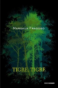 Baixar Tigre, tigre pdf, epub, eBook