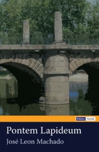 Baixar Pontem Lapideum pdf, epub, eBook