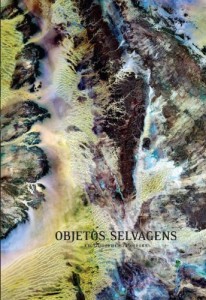 Baixar Objetos Selvagens pdf, epub, eBook