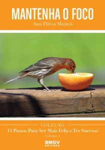Baixar Mantenha o Foco pdf, epub, eBook