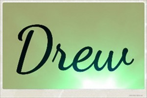 Baixar Drew 1: Um sonho de anivers&aacute;rio (Drew Serie) pdf, epub, eBook