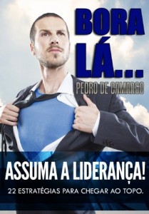 Baixar BORA LÁ… ASSUMA A LIDERANÇA! 22 estratégias para chegar ao topo pdf, epub, eBook