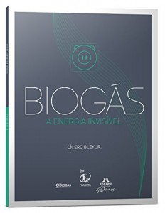 Baixar Biog&aacute;s – a Energia Invis&iacute;vel pdf, epub, eBook