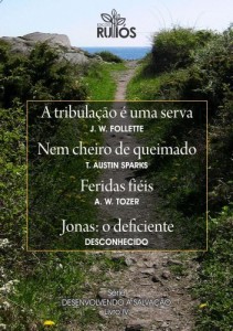 Baixar A tribulação é uma serva (Desenvolvendo a Salvação Livro 2) pdf, epub, eBook
