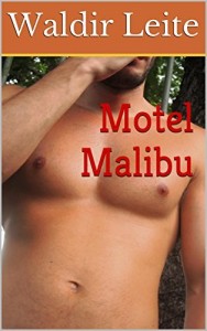 Baixar Motel Malibu pdf, epub, eBook