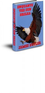 Baixar ENQUANTO THE SUN BRILHA pdf, epub, eBook