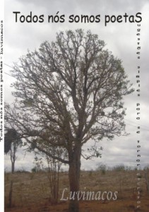 Baixar Todos nós somos poetas – sugestões simples para se tornar escritor pdf, epub, eBook