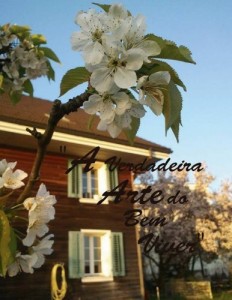 Baixar “A verdadeira arte do bem viver” (acreditar Livro 1) pdf, epub, eBook