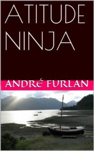 Baixar ATITUDE NINJA pdf, epub, eBook