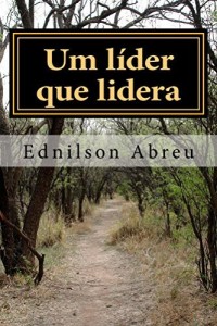 Baixar Um l&iacute;der que lidera: Perspectivas crist&atilde;s pr&aacute;ticas para uma lideran&ccedil;a sens&iacute;vel e relevante em qualquer tempo. pdf, epub, eBook