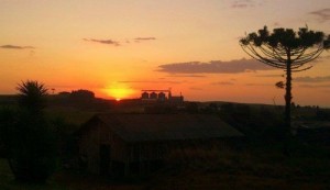 Baixar Codino Traiçao pdf, epub, eBook