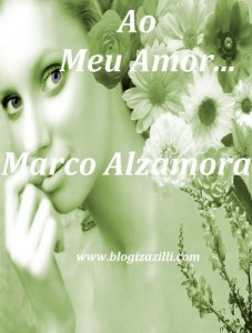 Baixar Ao Meu Amor… pdf, epub, eBook
