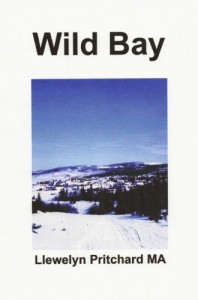 Baixar Wild Bay (Port Hope Simpson Mist&eacute;rios Livro 6) pdf, epub, eBook