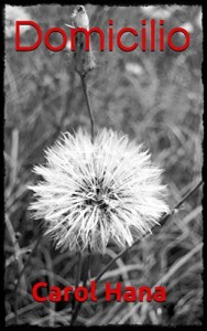 Baixar Domicilio pdf, epub, eBook