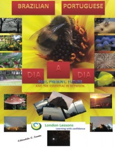 Baixar DIA A DIA: PAST, PRESENT, FUTURE (Brazilian Portuguese Livro 1) pdf, epub, eBook