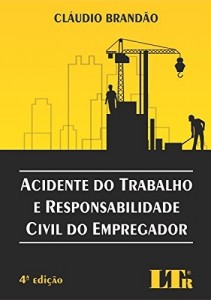 Baixar Acidente do Trabalho e Responsabilidade Civil do Empregador pdf, epub, eBook