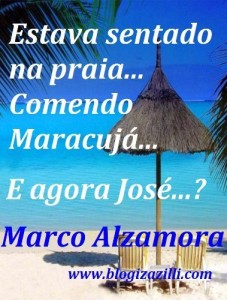 Baixar Estava sentado na praia… Comendo Maracujá… E agora José…? pdf, epub, eBook