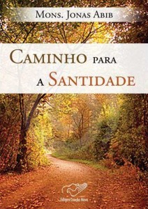 Baixar Caminho para a Santidade pdf, epub, eBook