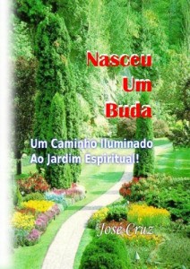 Baixar Nasceu Um Buda pdf, epub, eBook