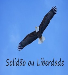 Baixar SOLIDAO OU LIBERDADE pdf, epub, eBook