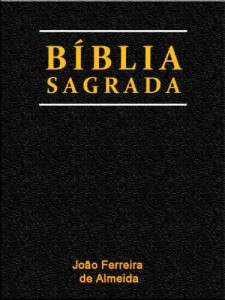 Baixar B&iacute;blia Sagrada Protestante (Religi&atilde;o e Filosofia) pdf, epub, eBook