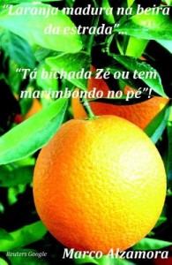 Baixar LARANJA MADURA "Tá bichada Zé… Ou tem marimbondo no pé"! pdf, epub, eBook
