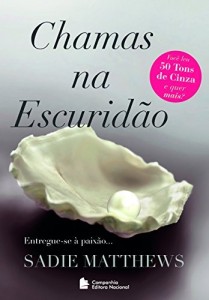 Baixar Chamas na escuridão pdf, epub, eBook