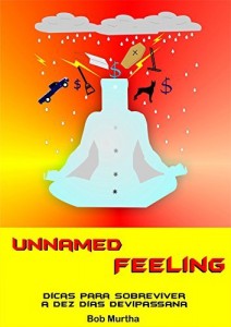 Baixar Unnamed Feeling: Dicas para sobreviver a dez dias de Vipassana pdf, epub, eBook