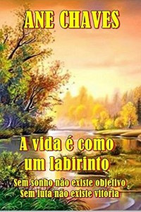 Baixar A VIDA É COMO UM LABIRINTO – Sem sonho não existe objetivo, sem luta não existe vitória. pdf, epub, eBook