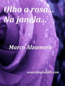 Baixar Olho a Rosa… Na janela… pdf, epub, eBook