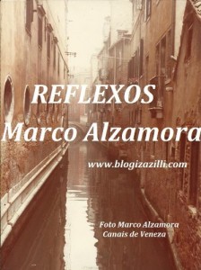 Baixar REFLEXOS pdf, epub, eBook