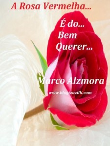 Baixar A Rosa Vermelha… pdf, epub, eBook