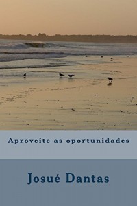 Baixar Aproveite as oportunidades pdf, epub, eBook