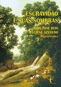 Baixar Escravid&atilde;o e suas sombras pdf, epub, eBook