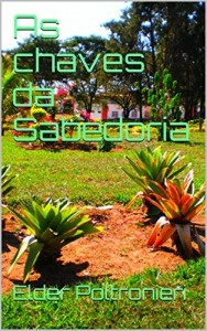 Baixar As chaves da Sabedoria (S&eacute;rie Medita&ccedil;&atilde;o Livro 1) pdf, epub, eBook