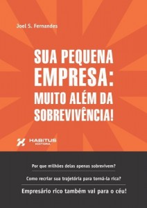 Baixar Sua Pequena Empresa: Muito al&eacute;m da sobreviv&ecirc;ncia pdf, epub, eBook