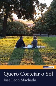 Baixar Quero Cortejar o Sol pdf, epub, eBook