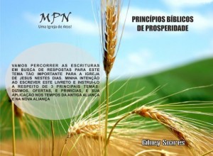 Baixar Princ&iacute;pios B&iacute;blicos de Prosperidade pdf, epub, eBook