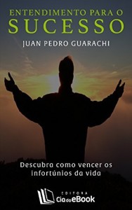 Baixar Entendimento para o sucesso: Descubra como vencer os infort&uacute;nios da vida pdf, epub, eBook