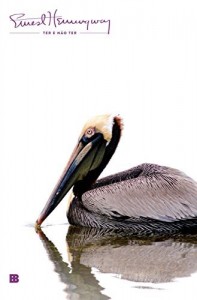 Baixar Ter e não ter pdf, epub, eBook